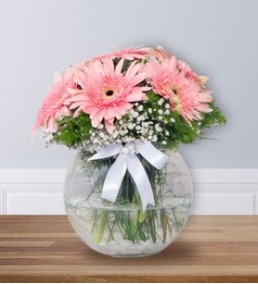akvaryum vazo da pembe çiçekler 